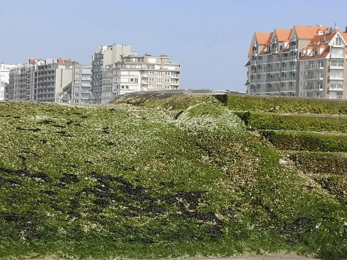 Westeinders Sea View Middelkerke Exteriér fotografie